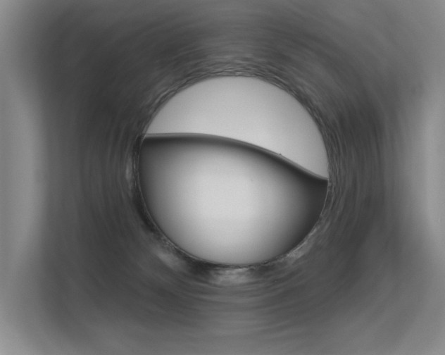 X0000113360132200909151014