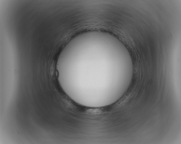 X0000113360133200909151014