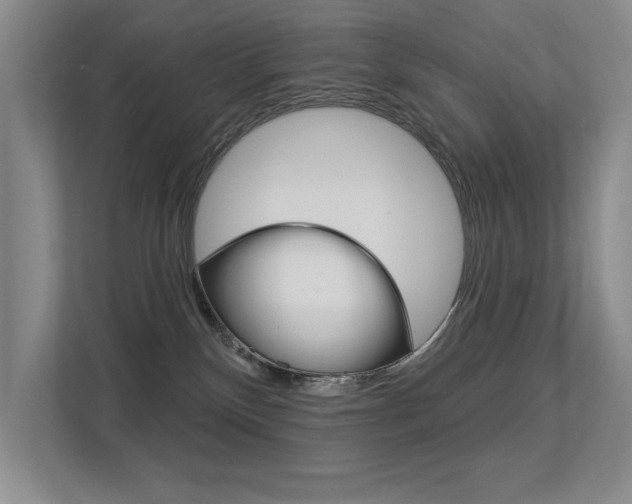 X0000113360136200909151014