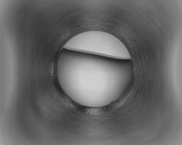 X0000113360139200909151014