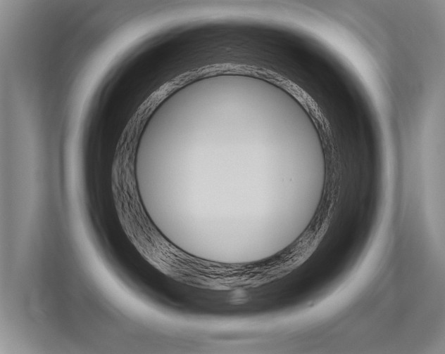 X0000113360142200909151014
