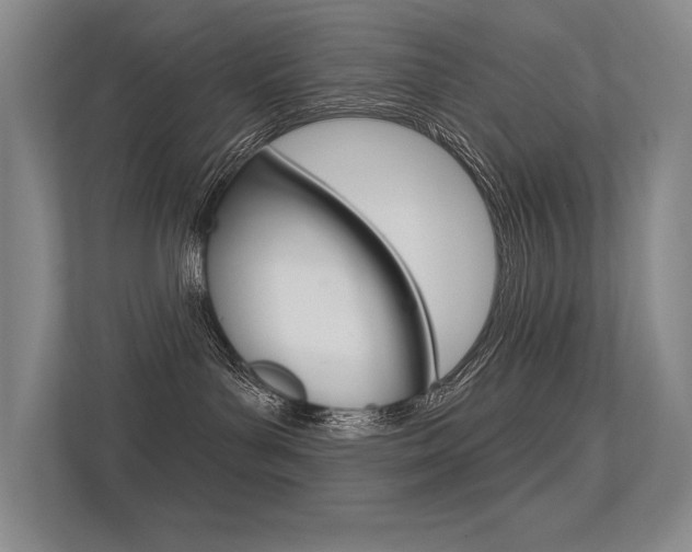 X0000113360143200909151014