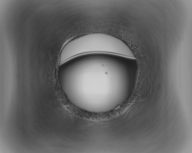 X0000113360144200909151014
