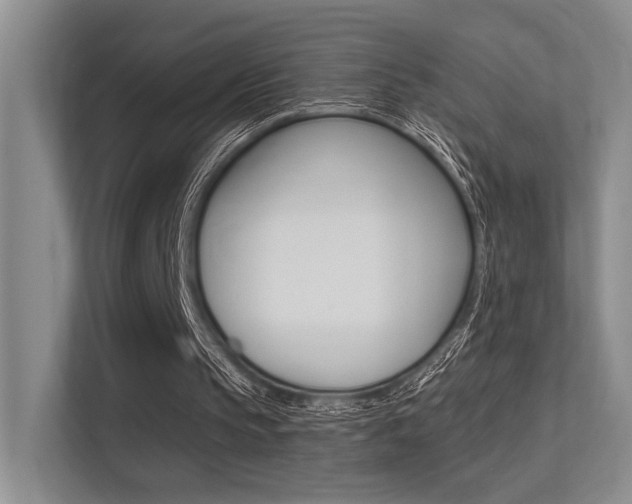 X0000113360145200909151013
