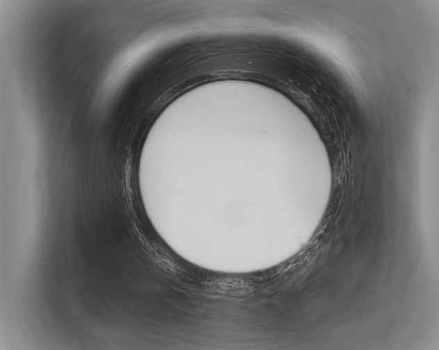 X0000113360146200909151013