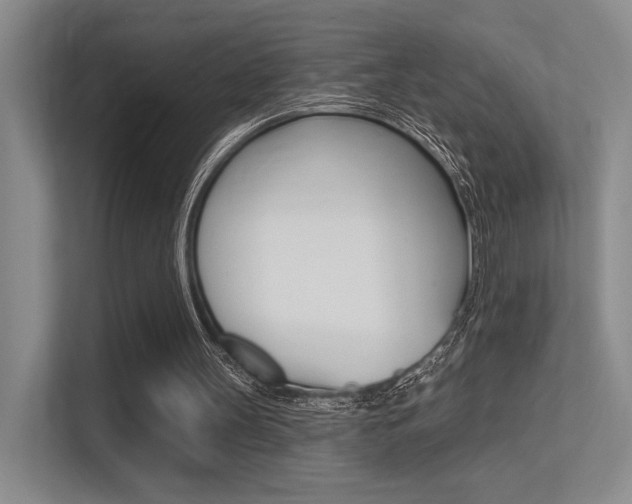 X0000113360147200909151013