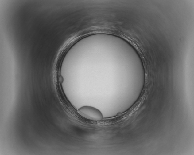 X0000113360149200909151013