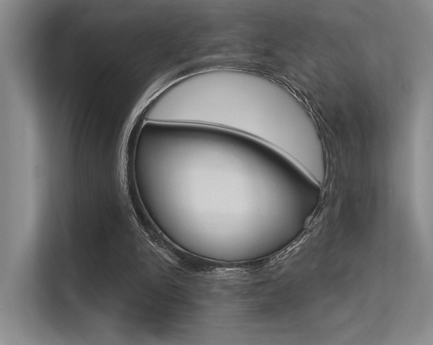 X0000113360150200909151013