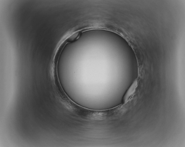 X0000113360152200909151013