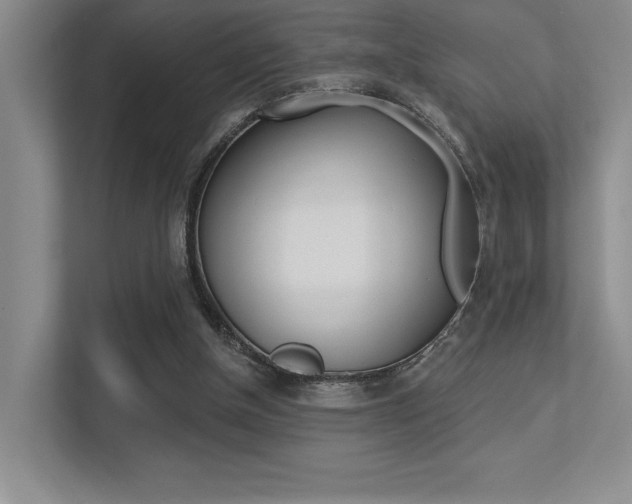 X0000113360154200909151013