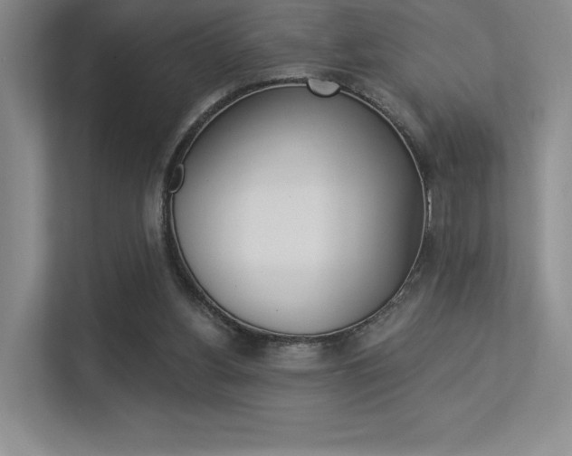 X0000113360156200909151013