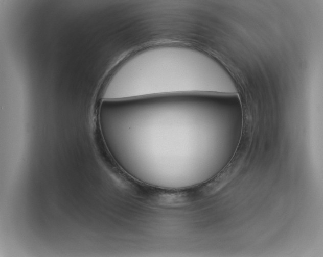 X0000113360160200909151014