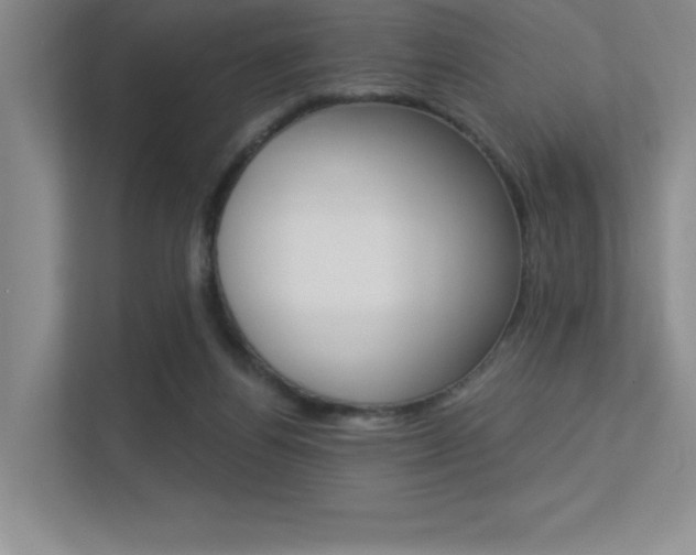 X0000113360164200909151014