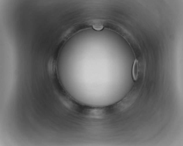 X0000113360168200909151014