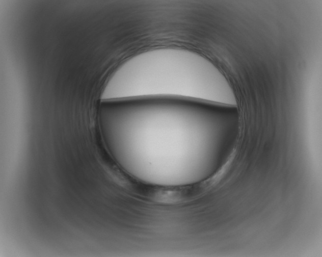 X0000113360174200909151014