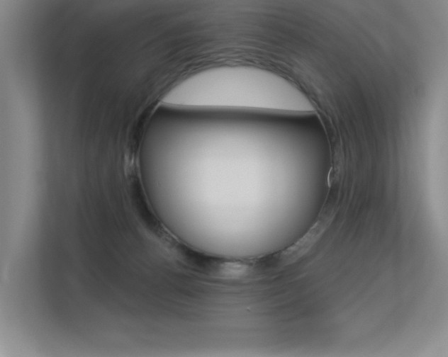X0000113360176200909151014