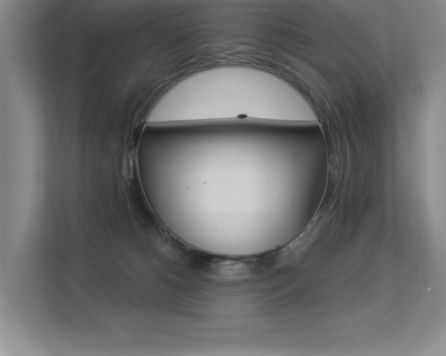X0000113360180200909151014