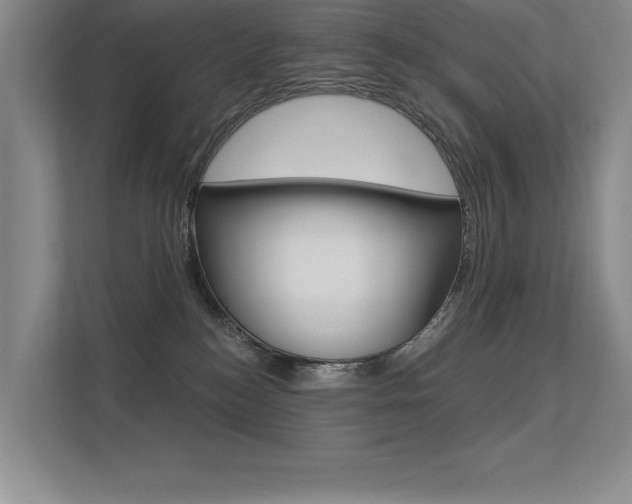 X0000113360184200909151014