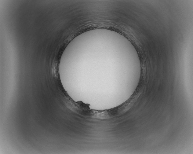 X0000113360185200909151014