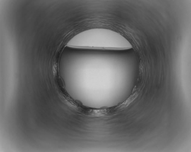 X0000113360188200909151014