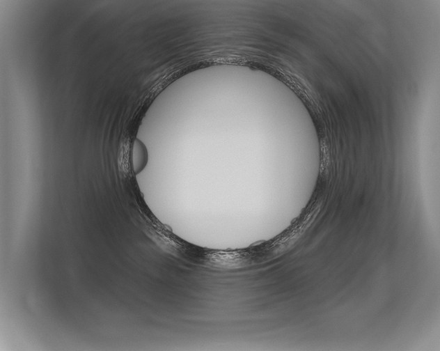 X0000113360189200909151014