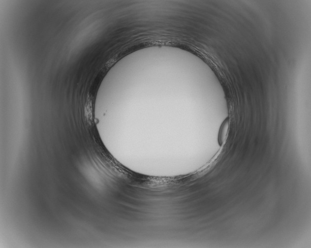 X0000113360190200909151014