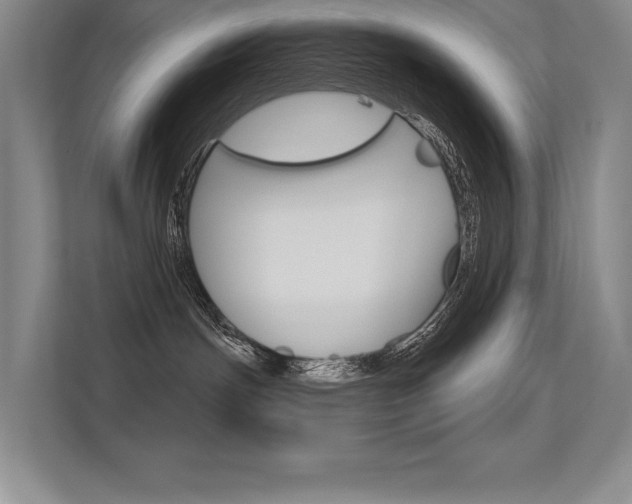 X0000113360191200909151014