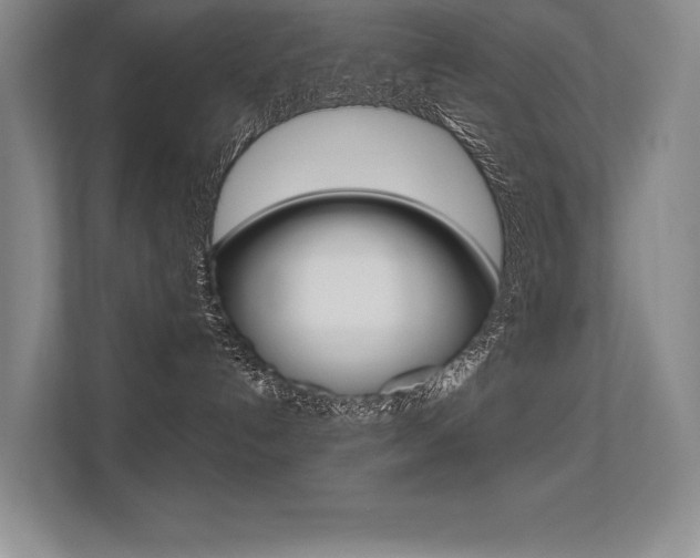 X0000113360192200909151014