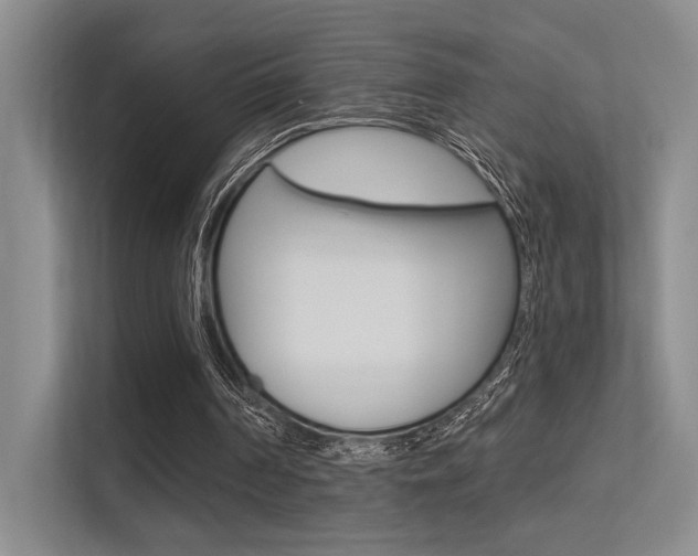 X0000113360194200909151013