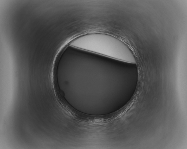 X0000113360196200909151013