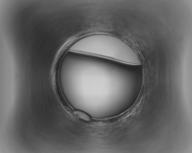 X0000113360197200909151013
