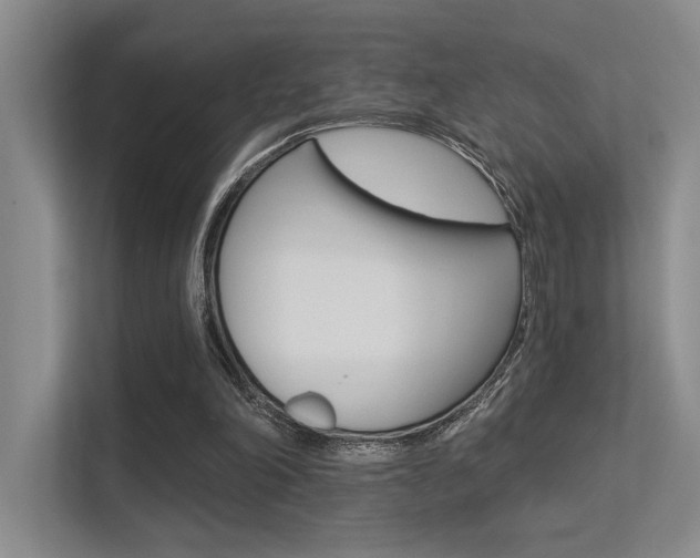 X0000113360198200909151013