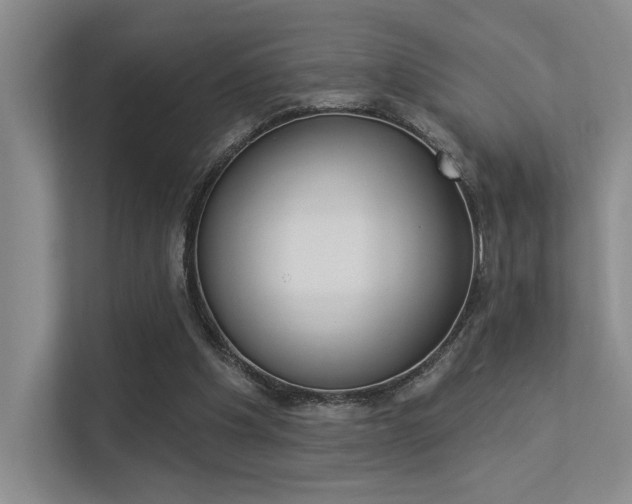 X0000113360201200909151013