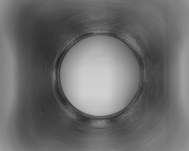 X0000113360202200909151013