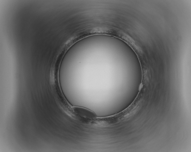 X0000113360203200909151013
