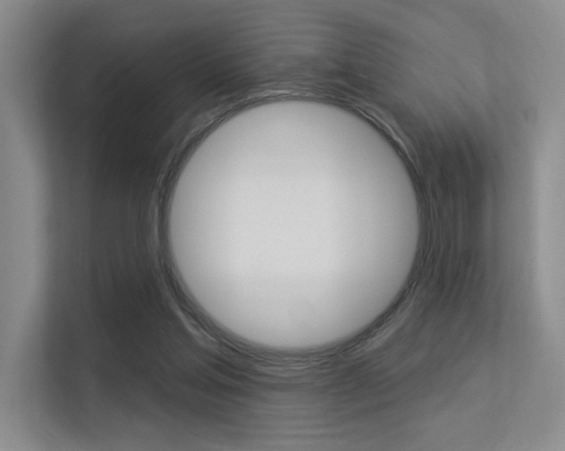 X0000113360205200909151013