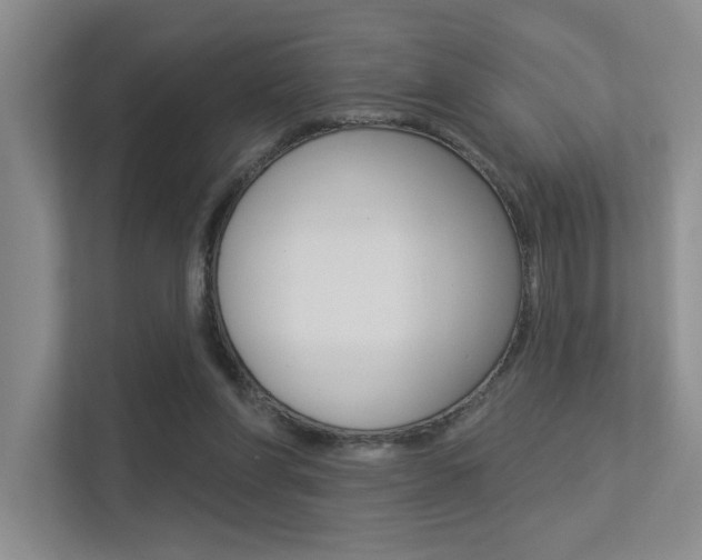 X0000113360206200909151013