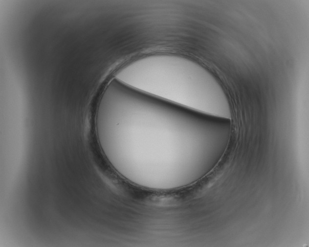 X0000113360208200909151013