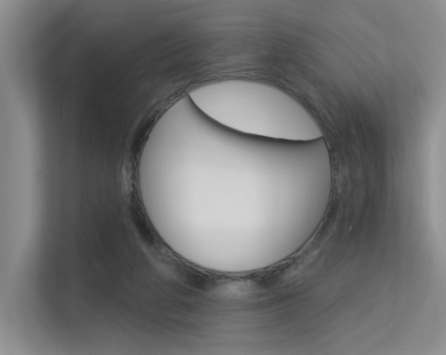 X0000113360210200909151013