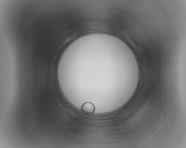 X0000113360211200909151013