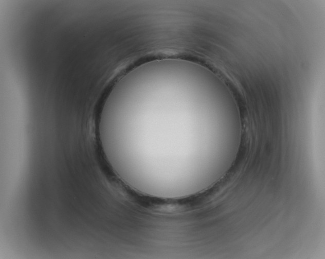 X0000113360212200909151013