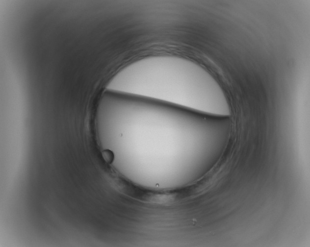 X0000113360217200909151013