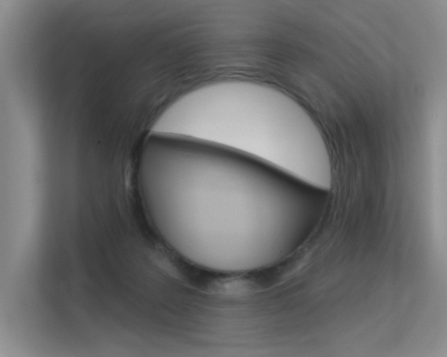 X0000113360219200909151013