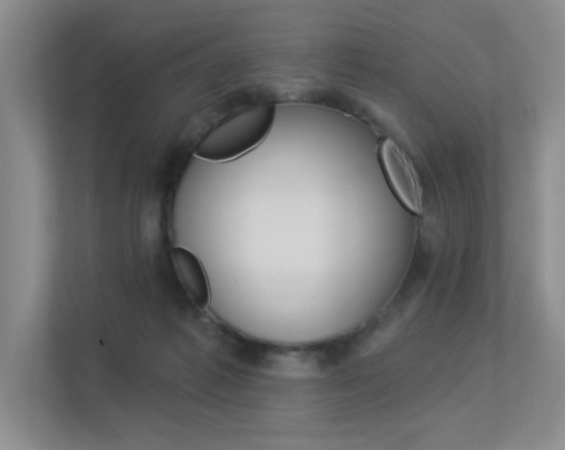 X0000113360221200909151013