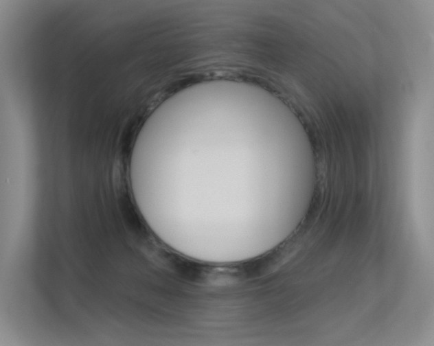 X0000113360222200909151013