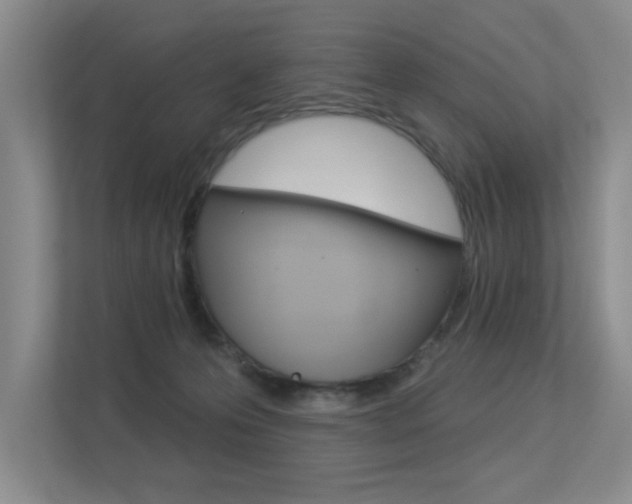 X0000113360223200909151013