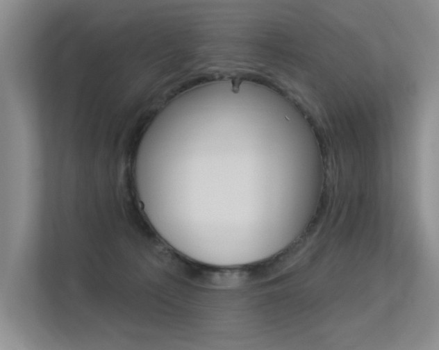 X0000113360225200909151013