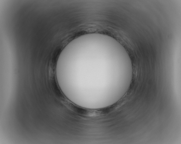 X0000113360226200909151013