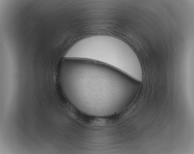 X0000113360227200909151013