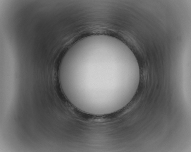 X0000113360228200909151013